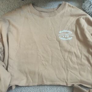 Hollister Brown Graphic Sweatshirt